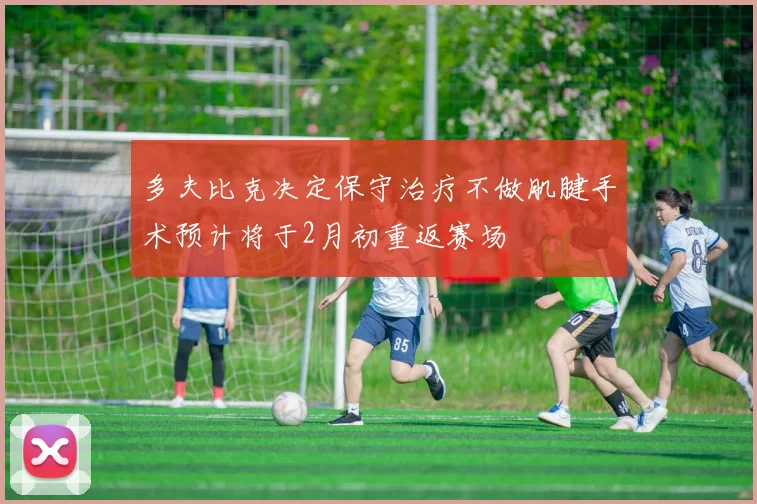 多夫比克决定保守治疗不做肌腱手术预计将于2月初重返赛场
